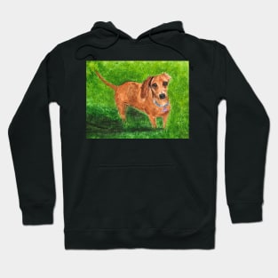 Cute Dachshund Sausage Dog Hoodie